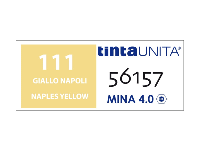 Pastello Colorato Tinta Unita - Giallo Napoli 111