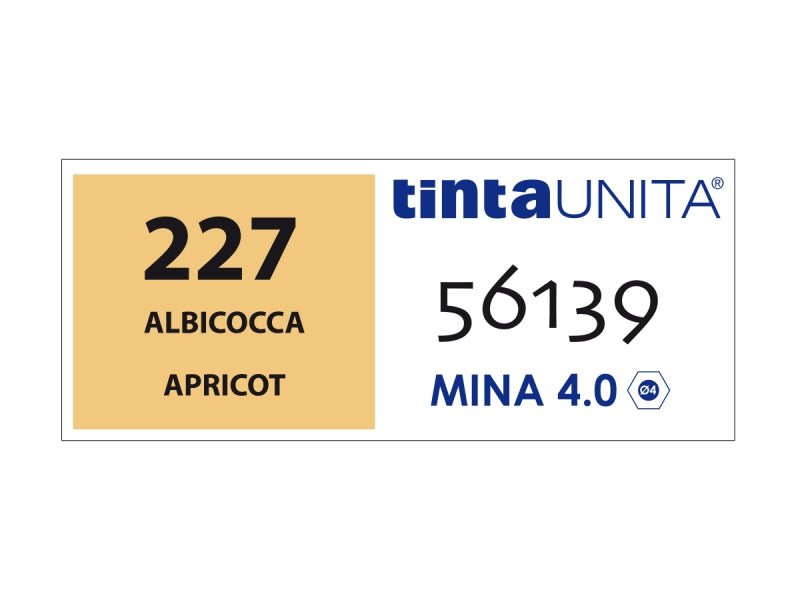 Pastello Colorato Tinta Unita - Albicocca 227