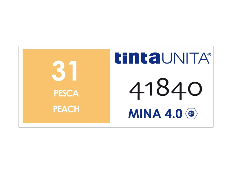 Pastello Colorato Tinta Unita - Pesca 31