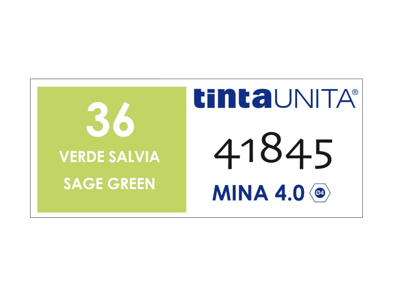 Pastello Colorato Tinta Unita - Verde Salvia 36